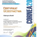 Powiększ obraz: certificate 4