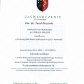Powiększ obraz: certificate 34