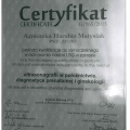 Powiększ obraz: certificate 3