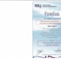 Powiększ obraz: certificate 9
