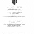 Powiększ obraz: certificate 5