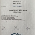 Powiększ obraz: certificate 19