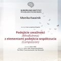 Powiększ obraz: certificate 7