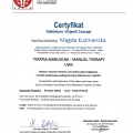 Powiększ obraz: certificate 4