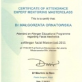 Powiększ obraz: certificate 6