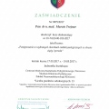Powiększ obraz: certificate 3
