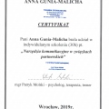Powiększ obraz: certificate 2