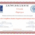 Powiększ obraz: certificate 7