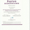 Powiększ obraz: certificate 3
