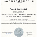 Powiększ obraz: certificate 8