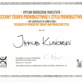 Powiększ obraz: certificate 2