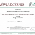 Powiększ obraz: certificate 11