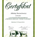 Powiększ obraz: certificate 10