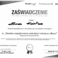 Powiększ obraz: certificate 1