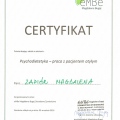 Powiększ obraz: certificate 1