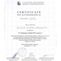Powiększ obraz: certificate 47