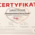 Powiększ obraz: certificate 19
