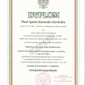 Powiększ obraz: certificate 3