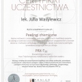 Powiększ obraz: certificate 4