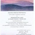 Powiększ obraz: certificate 4