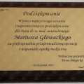 Powiększ obraz: certificate 13