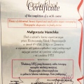 Powiększ obraz: certificate 6