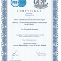 Powiększ obraz: certificate 8