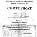 Powiększ obraz: certificate 1