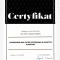 Powiększ obraz: certificate 6