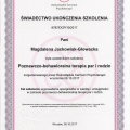 Powiększ obraz: certificate 3