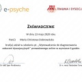 Powiększ obraz: certificate 20