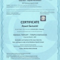 Powiększ obraz: certificate 2