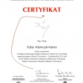 Powiększ obraz: certificate 7