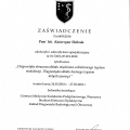 Powiększ obraz: certificate 7