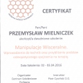 Powiększ obraz: certificate 11