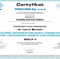 Powiększ obraz: certificate 4