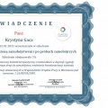 Powiększ obraz: certificate 4