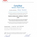 Powiększ obraz: certificate 11