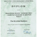 Powiększ obraz: certificate 3