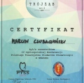 Powiększ obraz: certificate 1