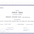 Powiększ obraz: certificate 2