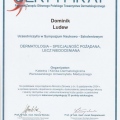 Powiększ obraz: certificate 73