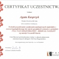 Powiększ obraz: certificate 14