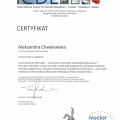 Powiększ obraz: certificate 13