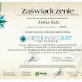 Powiększ obraz: certificate 17