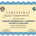Powiększ obraz: certificate 20