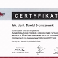 Powiększ obraz: certificate 2