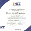 Powiększ obraz: certificate 3