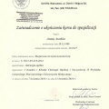 Powiększ obraz: certificate 38