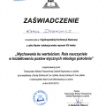 Powiększ obraz: certificate 8